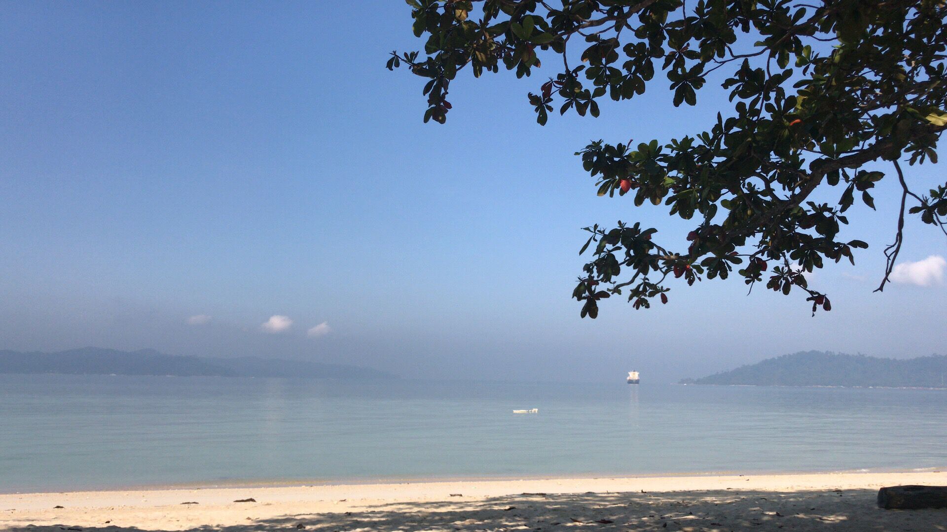 利生手机版下载平台介绍商贸物流利生手